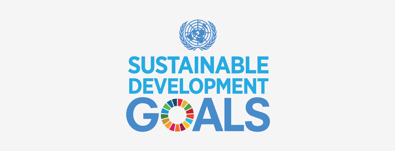sustainable development without equality